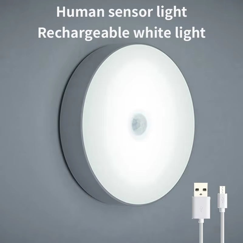 Motion Sensor LED Night Light 